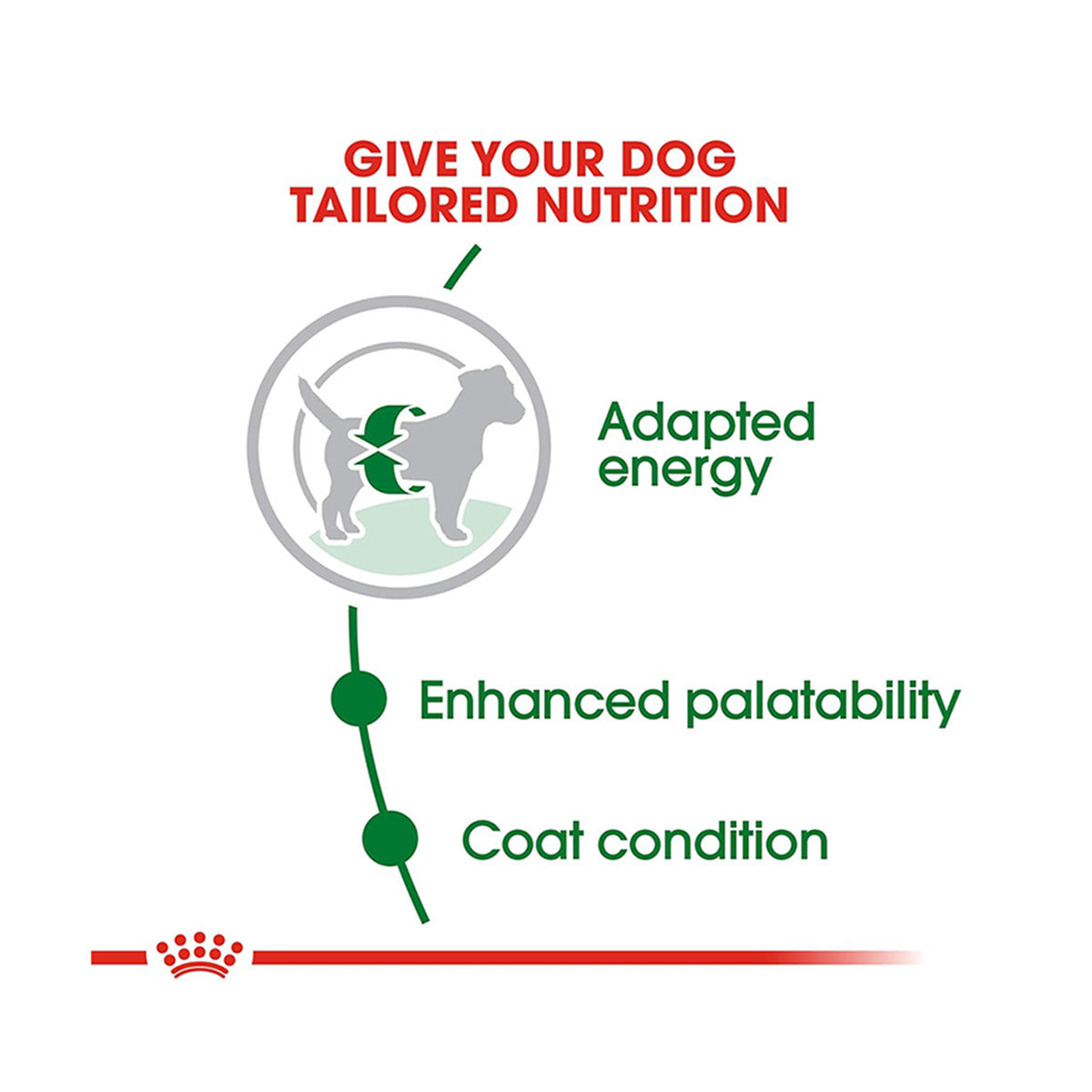 Royal Canin Mini Adult Dry Dog Food - Heads Up For Tails
