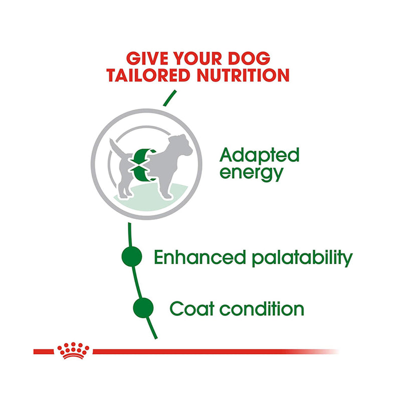 Royal Canin Mini Adult Dry Dog Food - Heads Up For Tails