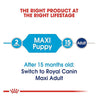 Royal Canin Medium Puppy Dry Dog Food - Heads Up For Tails