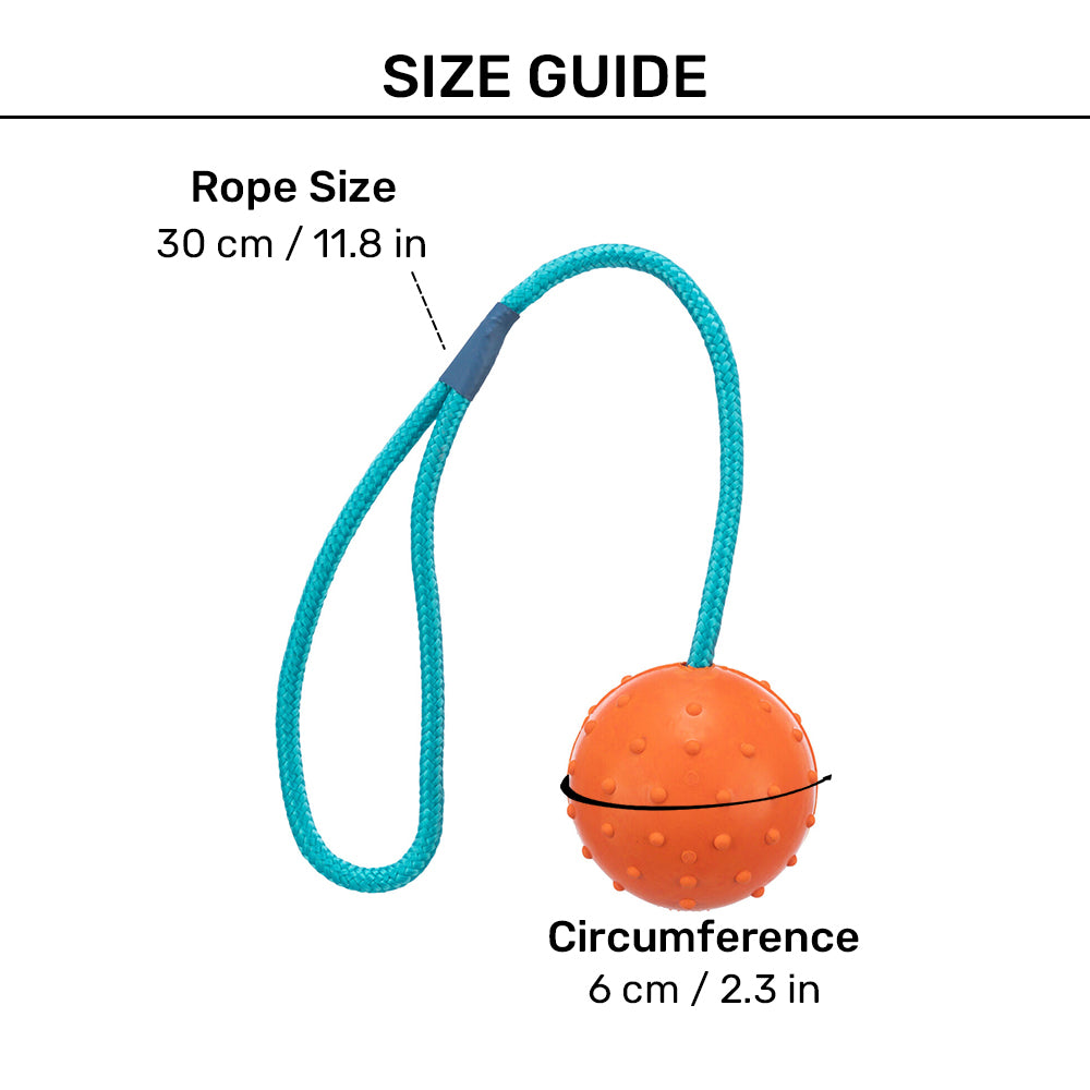 Trixie Ball On A Rope Natural Rubber With Sound Fetch Dog Toy - Assorted_05