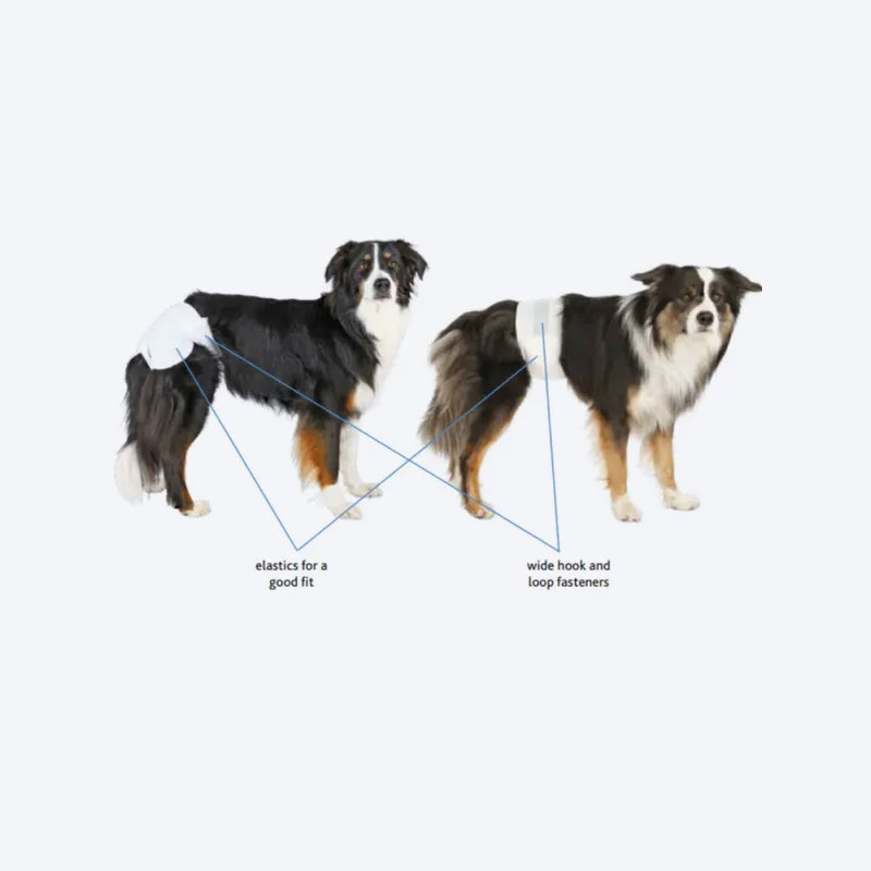 Trixie Disposable Diapers For Male Dog - 12 pcs ( L/XL ) - 60-80 cm - Heads Up For Tails