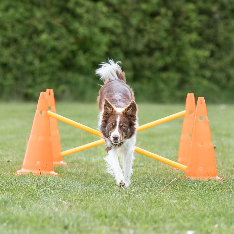 Trixie Dog Agility Obstacles - Pylon and Poles_05
