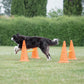 Trixie Dog Agility Obstacles - Pylon and Poles_03