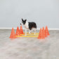 Trixie Dog Agility Obstacles - Pylon and Poles_06