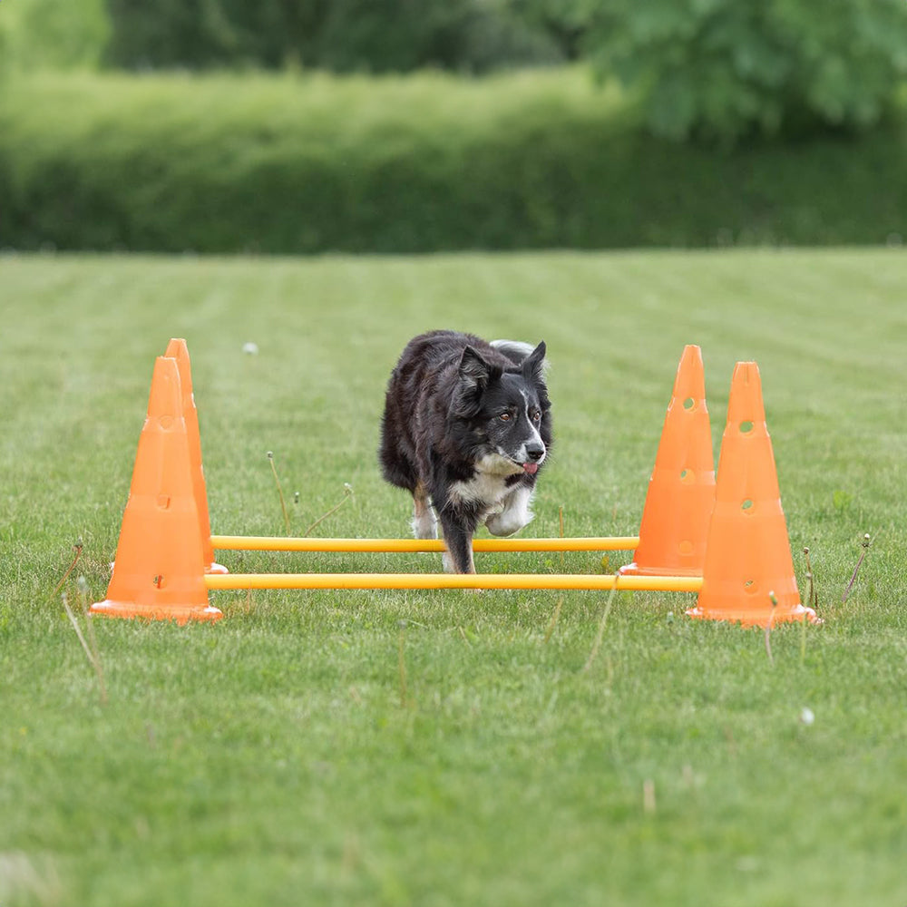 Trixie Dog Agility Obstacles - Pylon and Poles_07