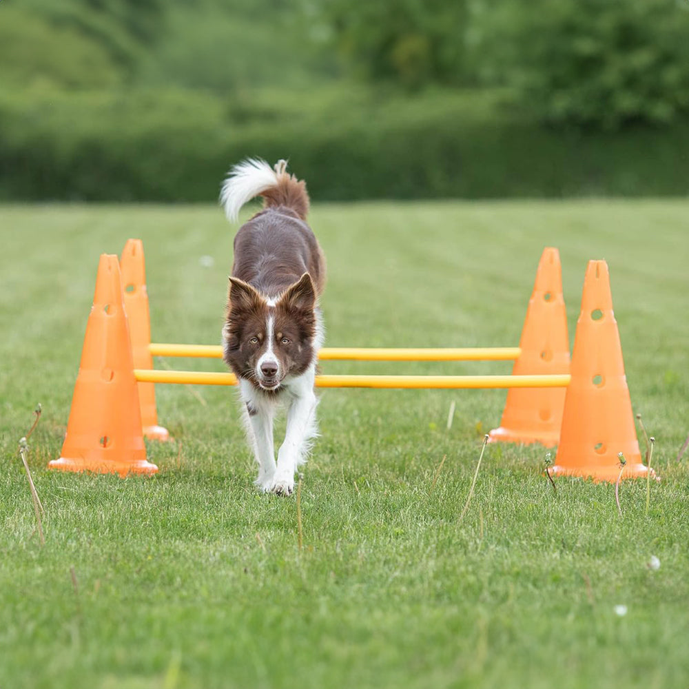 Trixie Dog Agility Obstacles - Pylon and Poles_08