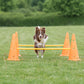 Trixie Dog Agility Obstacles - Pylon and Poles_09