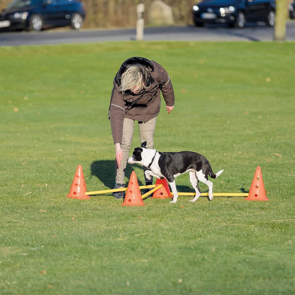 Trixie Dog Agility Obstacles - Pylon and Poles_10