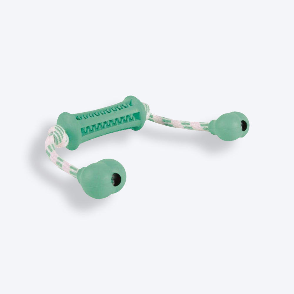 Trixie Denta Fun Stick With Rope Chew Dog Toy - Mint Green_03