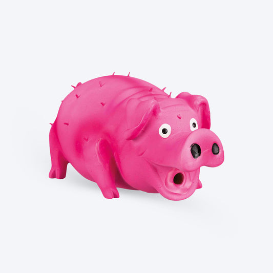Trixie Bristle Pig With Animal Sound Latex Squeaky Dog Toy - Assorted - 21 cm_01