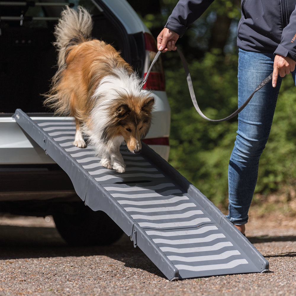 Trixie 3-Fold Grey Ramp plastic/TPR Hold - 39 X 150 cm - Heads Up For Tails