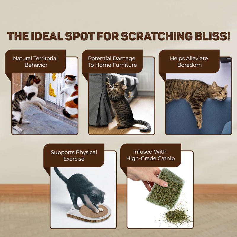 Trixie Mouse Junior Scratching Cardboard With Catnip Cat Scratcher - White - Heads Up For Tails