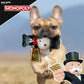 Hasbro Mr. Monopoly With Money Bag Squeak & Crinkle Plush Toy For Dog