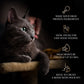 Sheba Melty Maguro Selection Tuna & Tuna & Prawn Flavors Cat Treats - 240 gm (20 x 12gm) - Heads Up For Tails