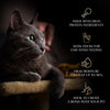 Sheba Melty Sasami Selection Chicken & Chicken & Whitefish Flavors Cat Treats - 240 gm (20 x 12gm) - Heads Up For Tails