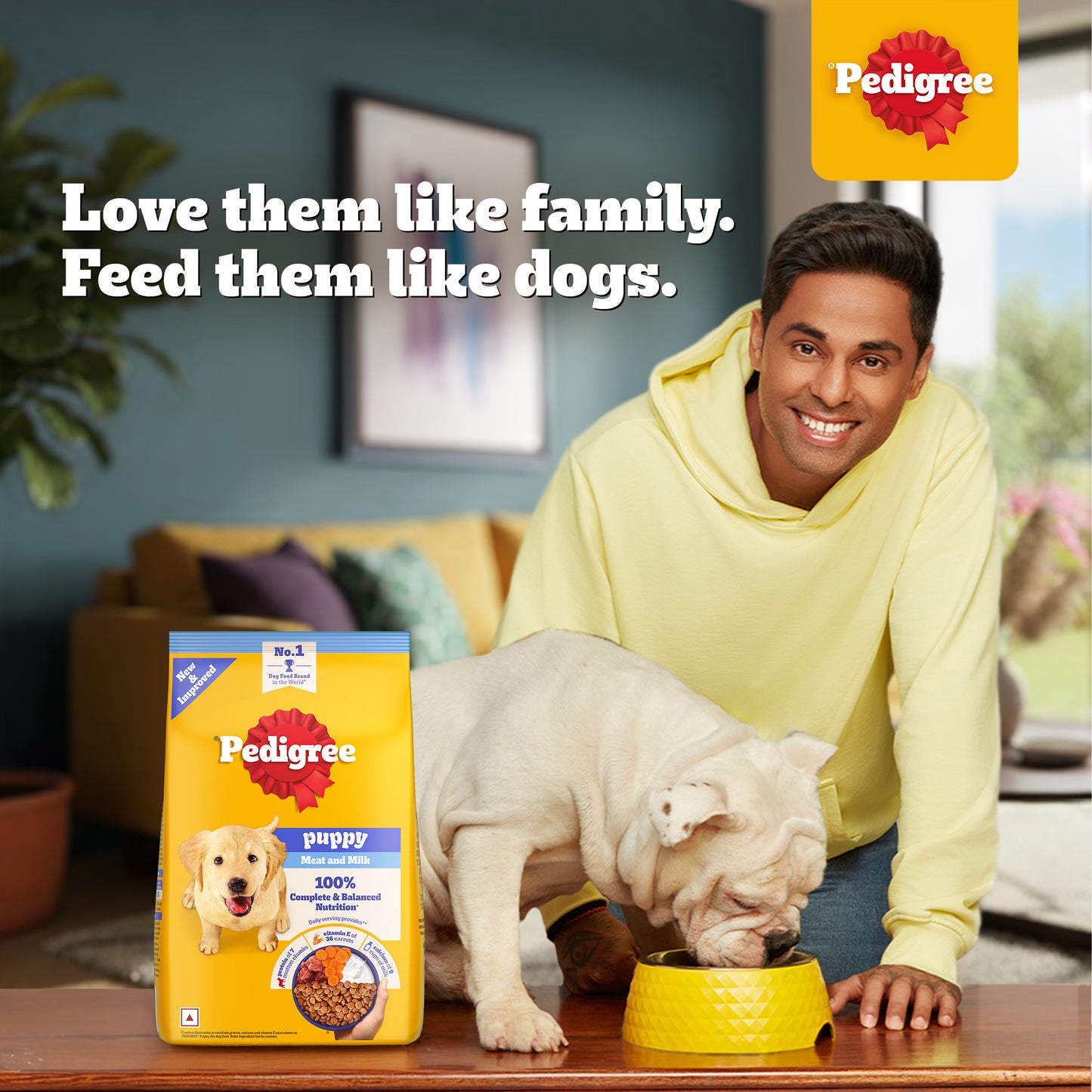 Pedigree Meat & Milk Puppy Dry Puppy Food