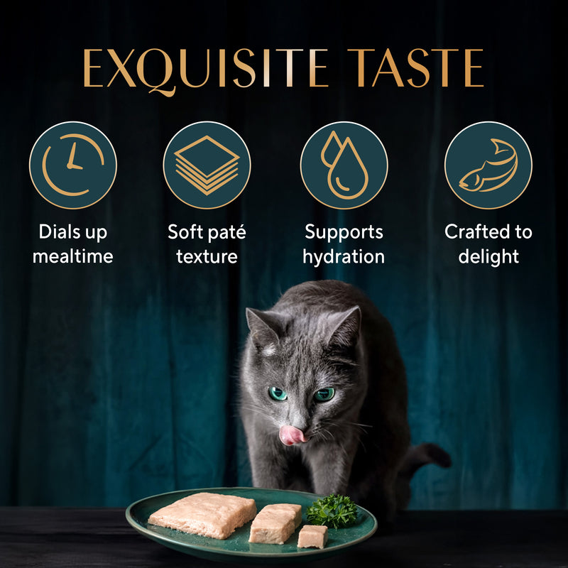 Sheba Maguro Pate Wet Food For Adult Cat - 70 gm - Heads Up For Tails