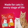 Nutrimeow Chicken & Tuna Dry Food For Adult Cat