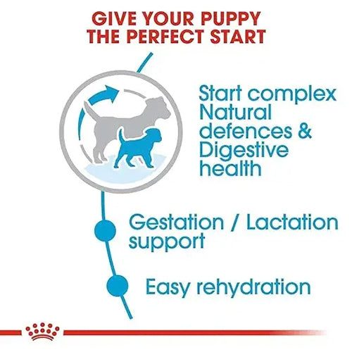 Royal Canin Mini Starter Mother & Puppy Dry Food - Heads Up For Tails