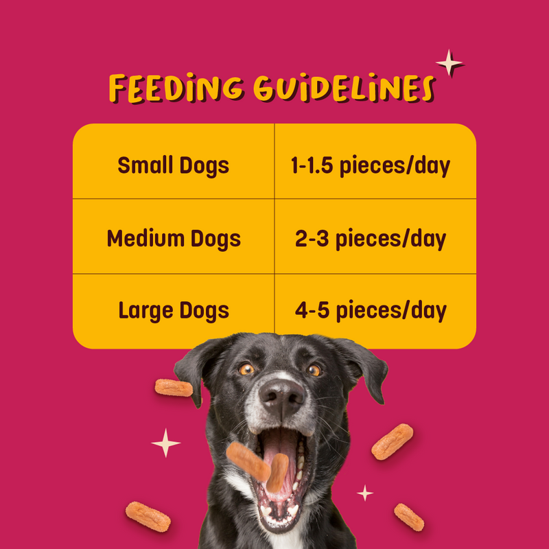 HUFT Sassy Sausage BBQ With Real Chicken Air-Dried Dog Treats - 100 g_04