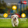 Pedigree Chicken & Liver Chunks in Gravy Wet Puppy Food - 70 g packs - Heads Up For Tails