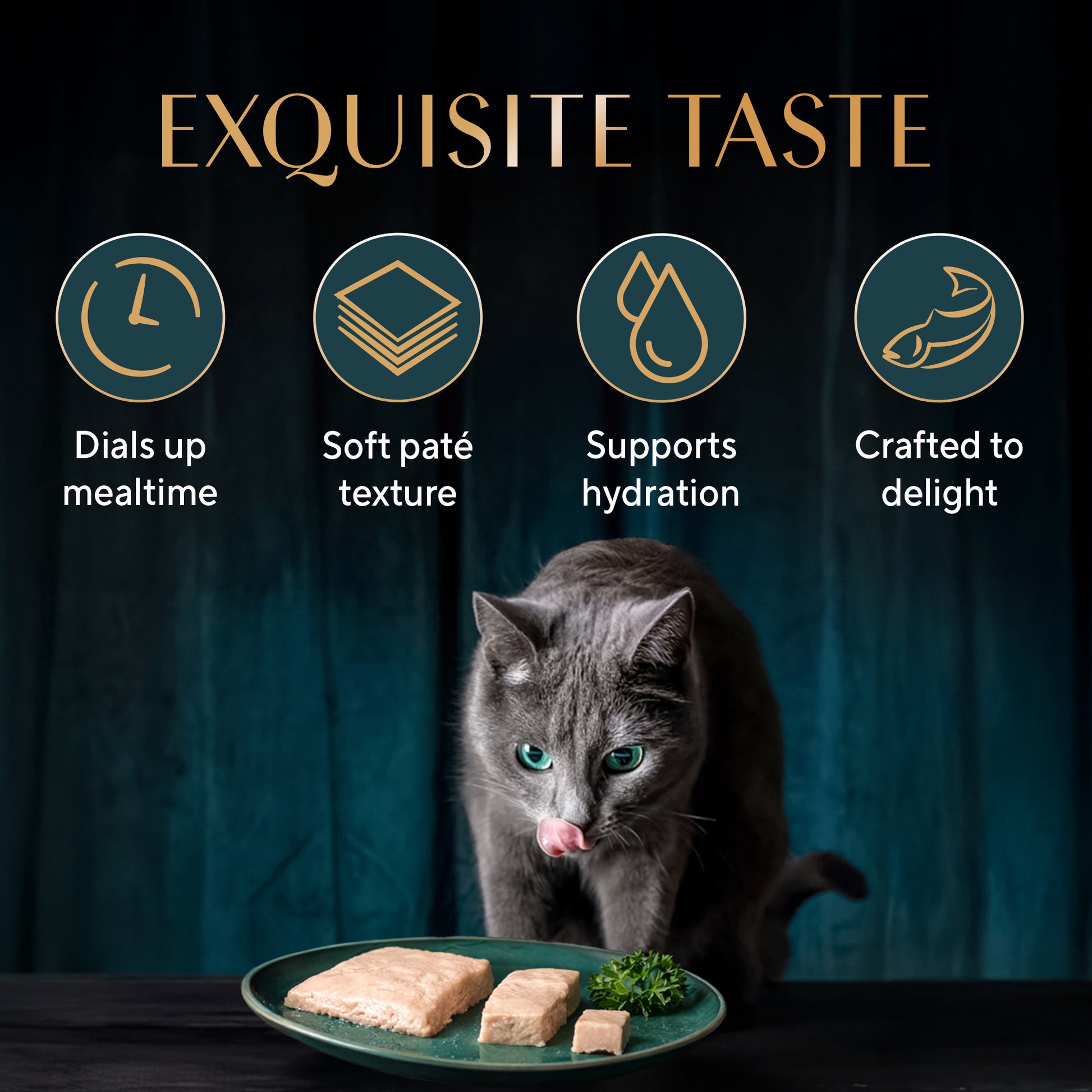 Sheba Katsuo Pate Wet Food For Adult Cat - 70 gm - Heads Up For Tails