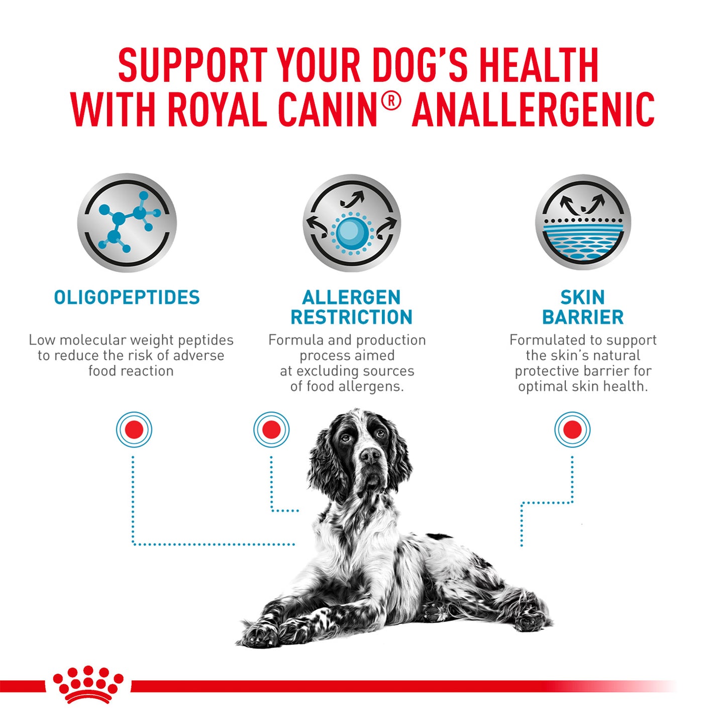 Royal Canin Veterinary Anallergenic Dry Food For Dog - Heads Up For Tails