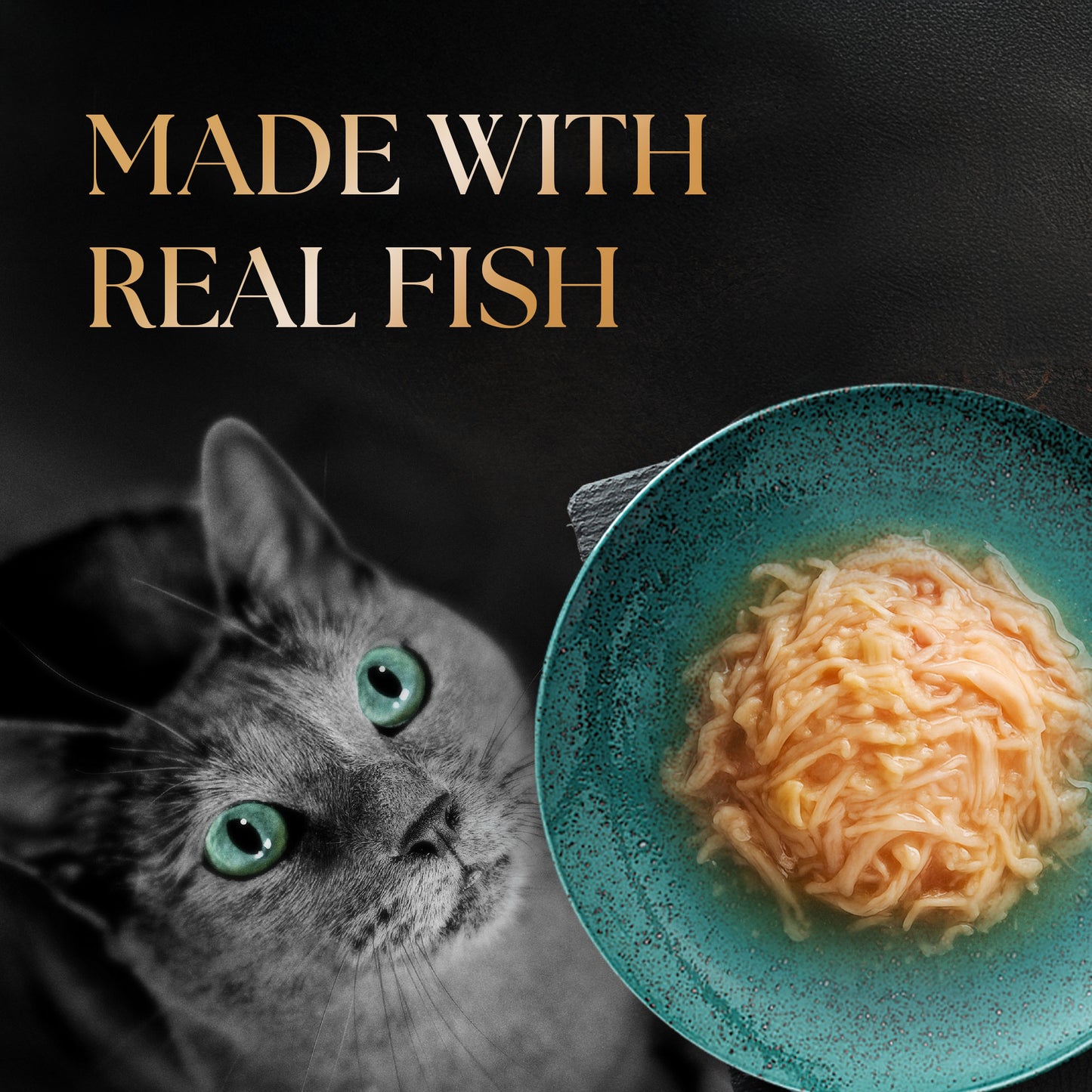 Sheba Succulent Chicken Breast in Gravy Adult Wet Cat Food - 85 gm Packs