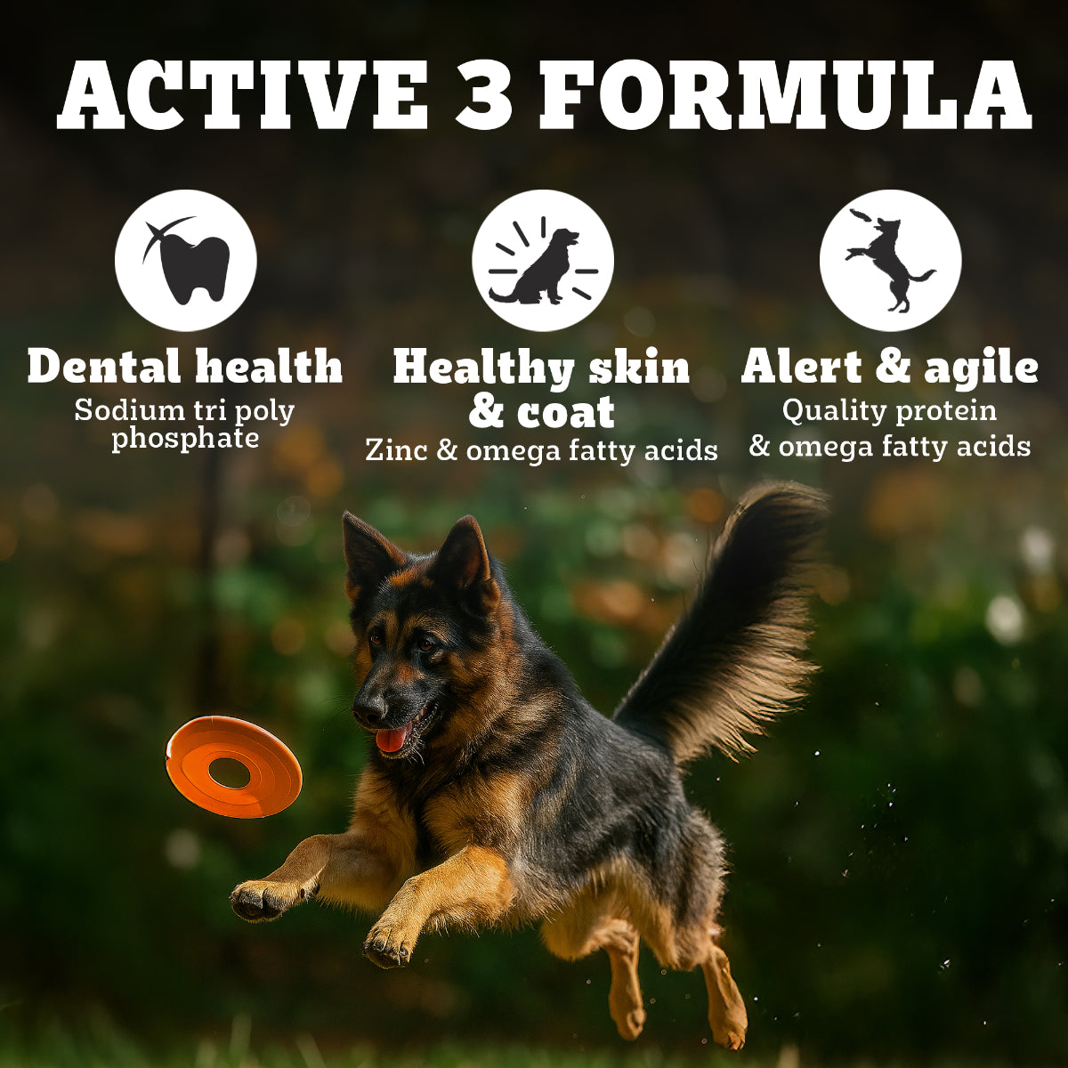 Pedigree PRO Expert Nutrition Active Adult Dry Dog Food