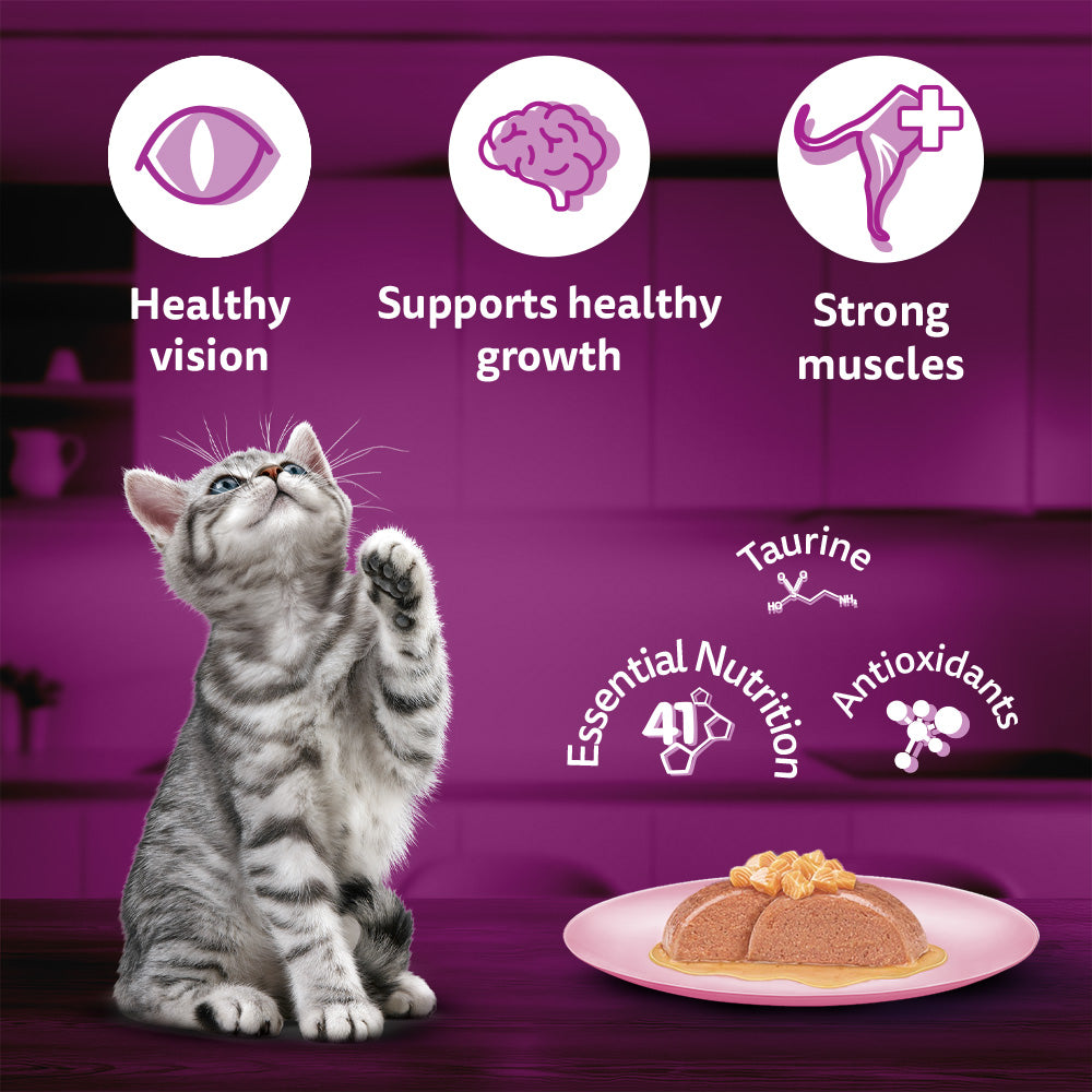 Whiskas Junior Kitten (2-12 Months) Salmon in Jelly Flavour Wet Cat Food - 80 gm Pack