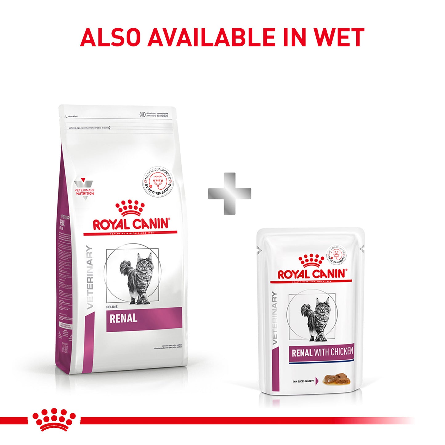 Royal Canin Veterinary Diet Renal Support Dry Food For Cat - 2 kg