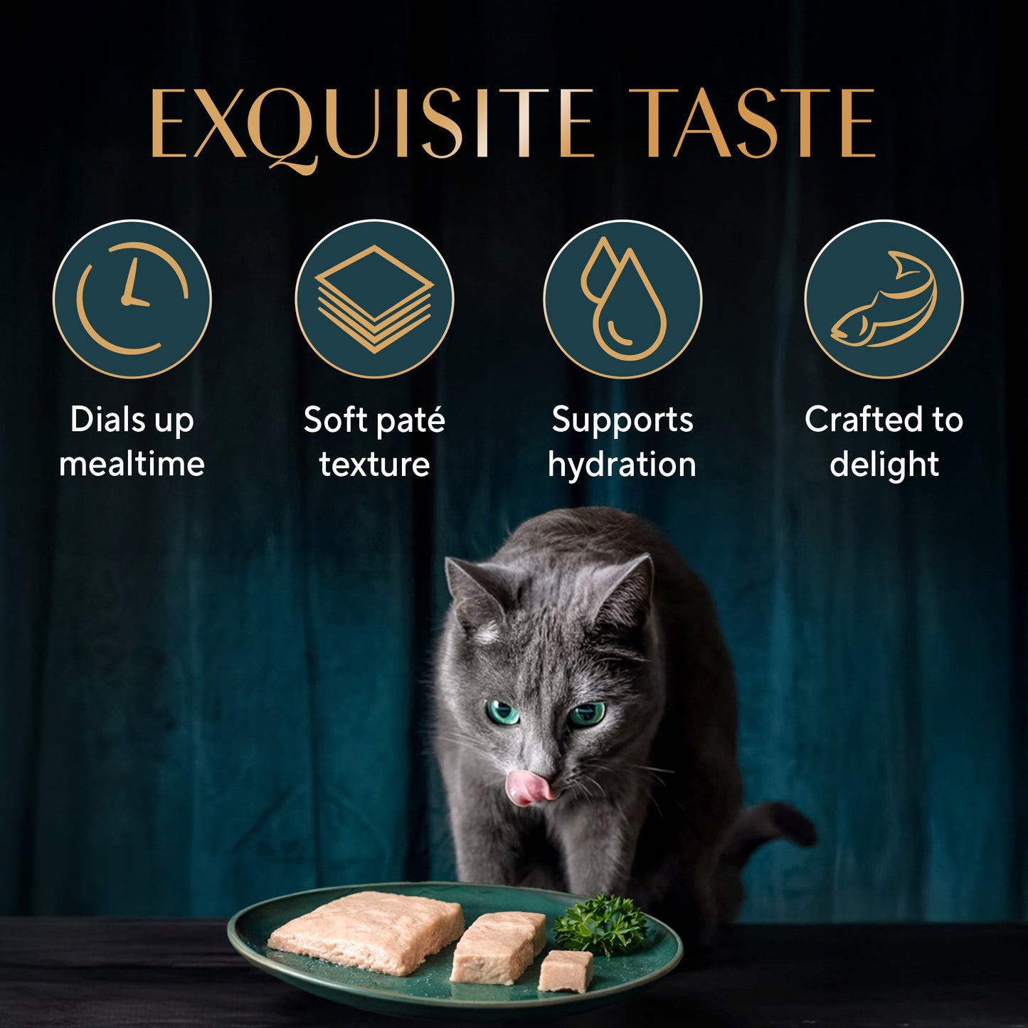 Sheba Sasami Pate Wet Food For Adult Cat - 70 gm - Heads Up For Tails