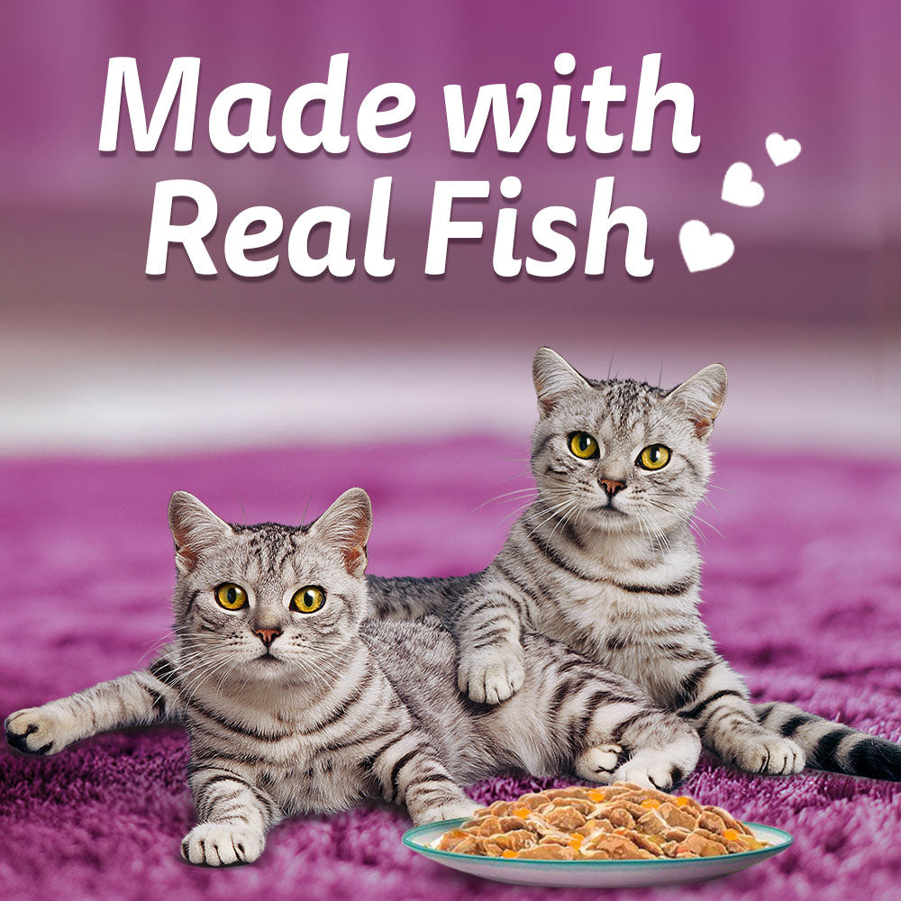 Whiskas Tasty Mix Adult (1+ year) Chicken With Tuna & Carrot in Gravy Wet Cat Food - 70 gm Pack - Heads Up For Tails