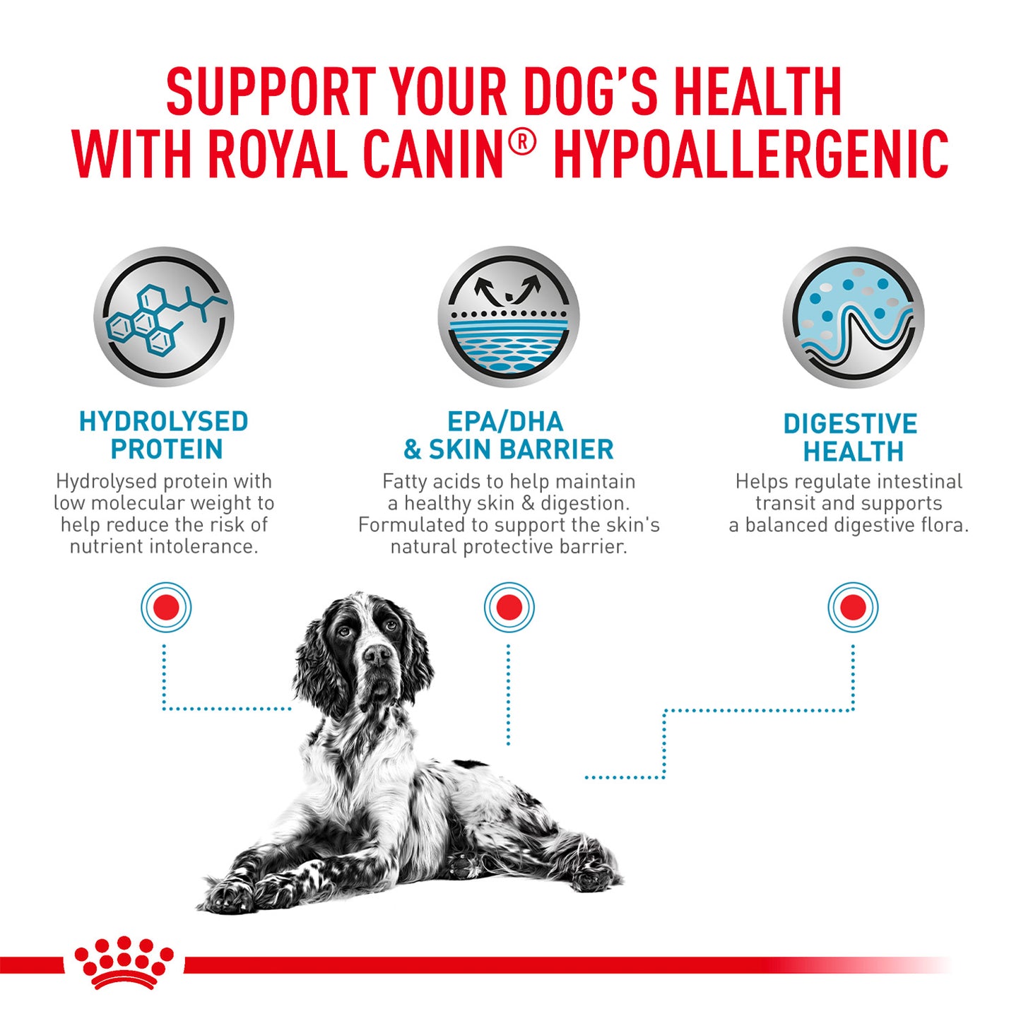 Royal Canin Veterinary Diet Hypoallergenic Dry Food For Dog