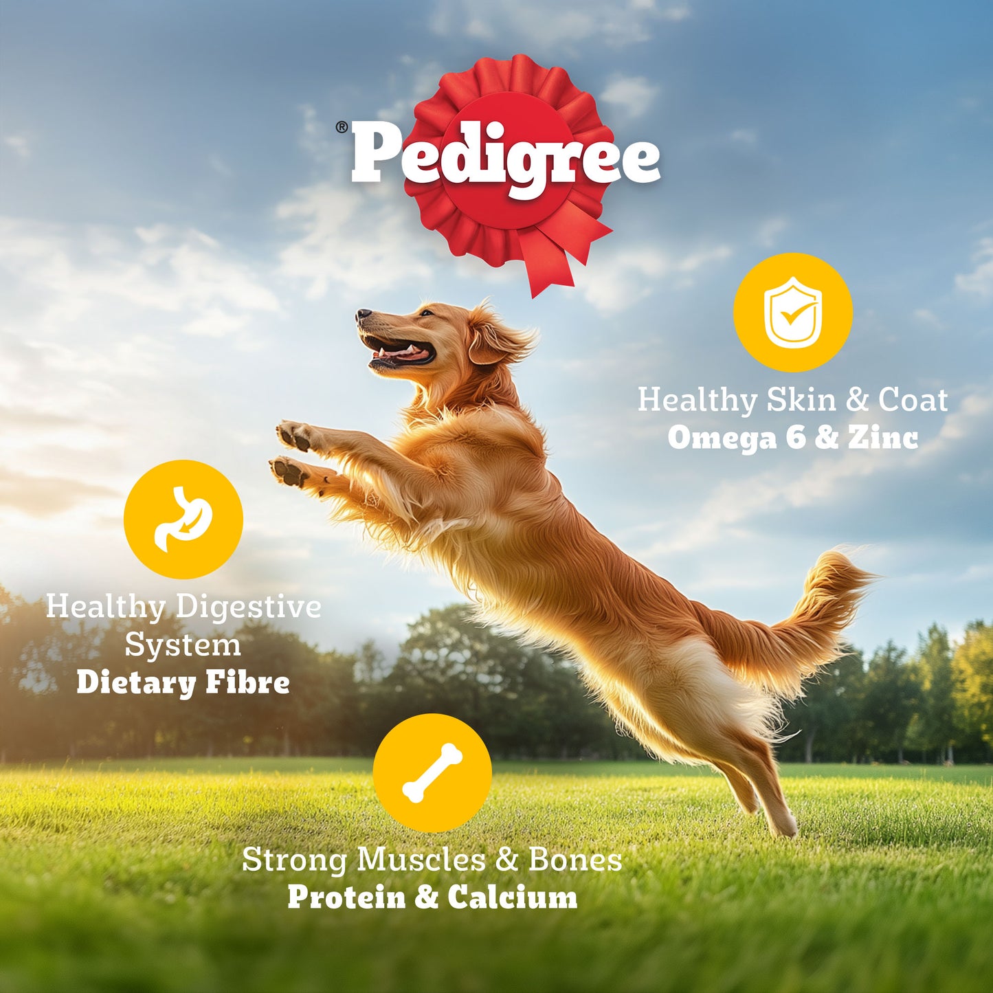 Pedigree Chicken & Vegetables Adult Dry Dog Food