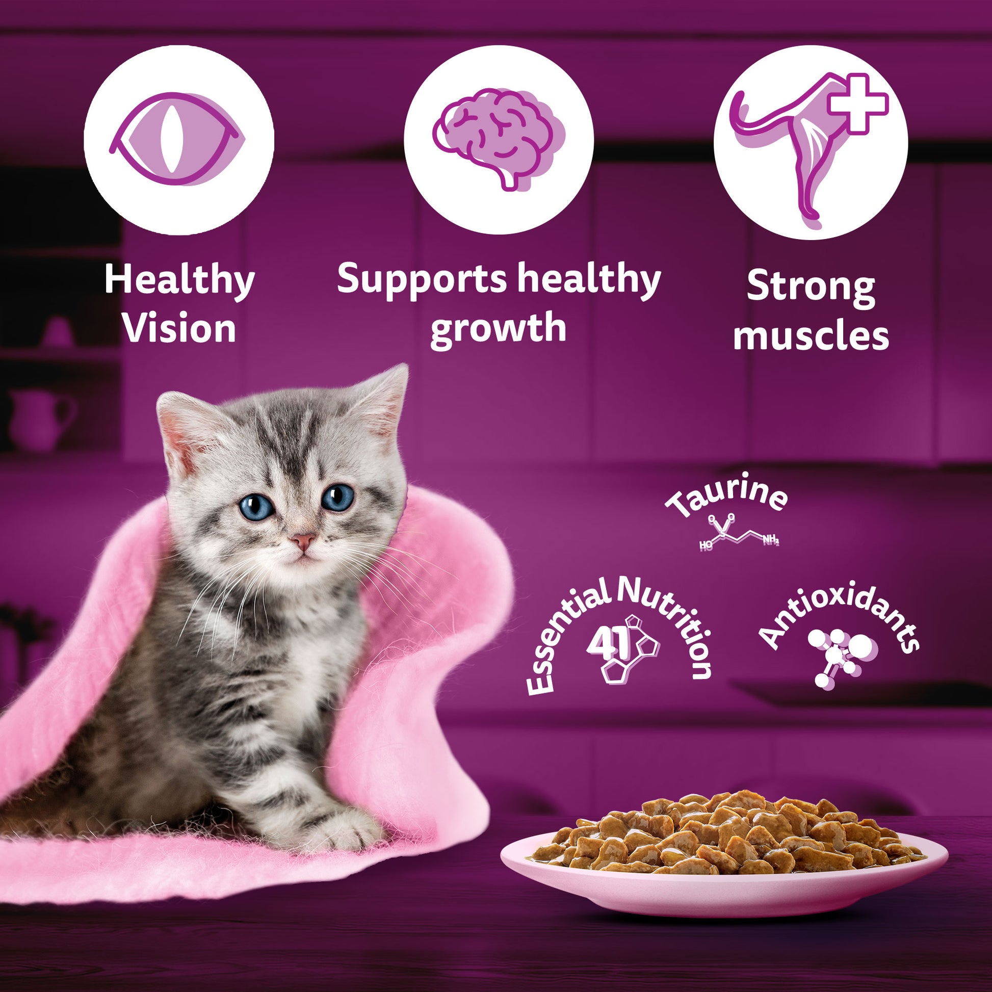 Whiskas Chicken in Gravy (2-12 Months) Wet Food For Junior Kitten - 80 gm Pack - Heads Up For Tails