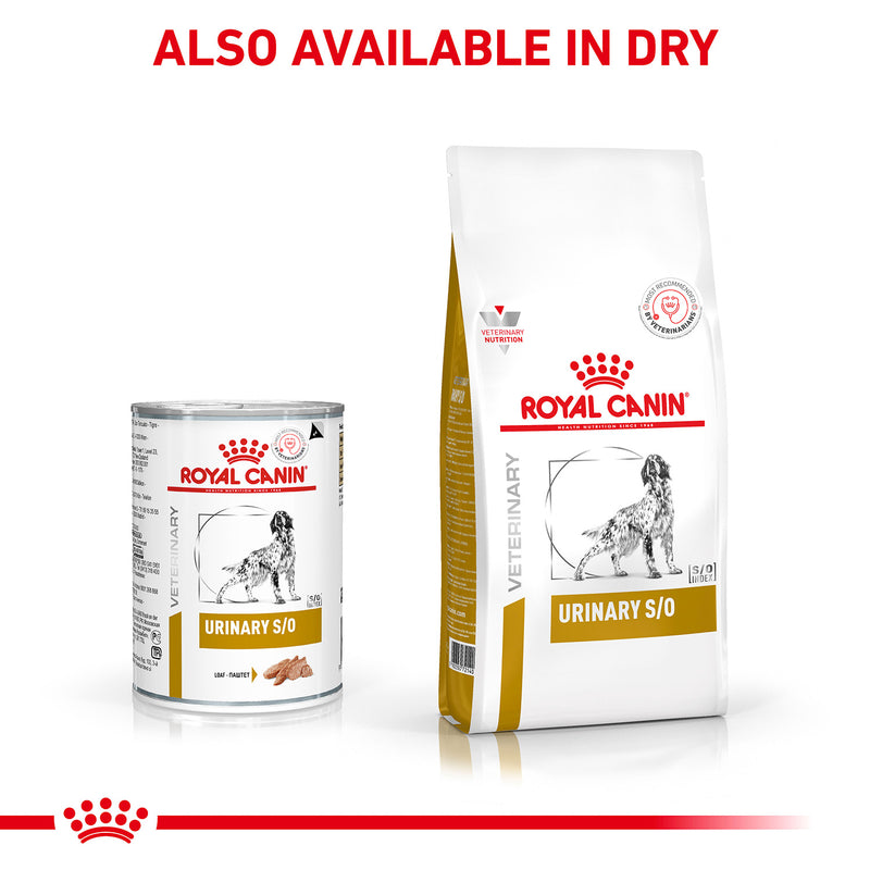 Royal Canin Veterinary Urinary S/O Veterinary Diet Dog Wet Food - 410 g - Heads Up For Tails