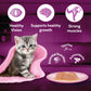 Whiskas Mackerel In Jelly Wet Food For Junior (2-12 Months) Kitten - 80 gm Pack - Heads Up For Tails