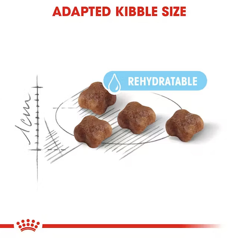 Royal Canin Mother And Babycat Dry Cat Food - Heads Up For Tails