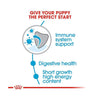 Royal Canin Medium Puppy Dry Dog Food - Heads Up For Tails