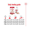 Royal Canin Medium Adult Dry Dog Food - Heads Up For Tails