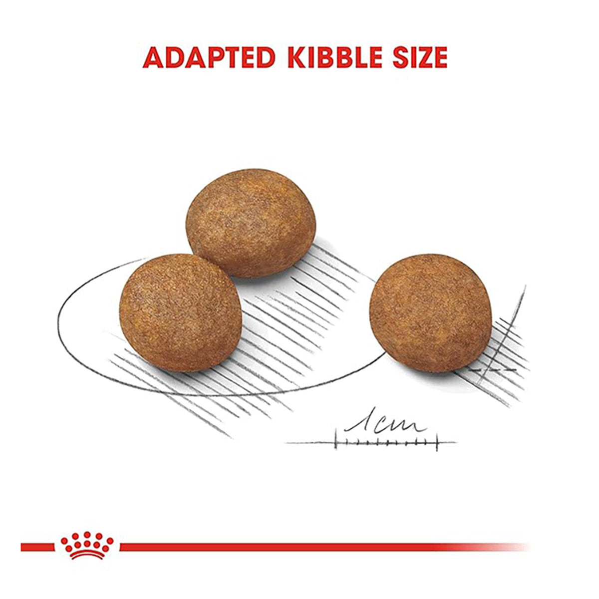 Royal Canin Maxi Puppy Dry Dog Food