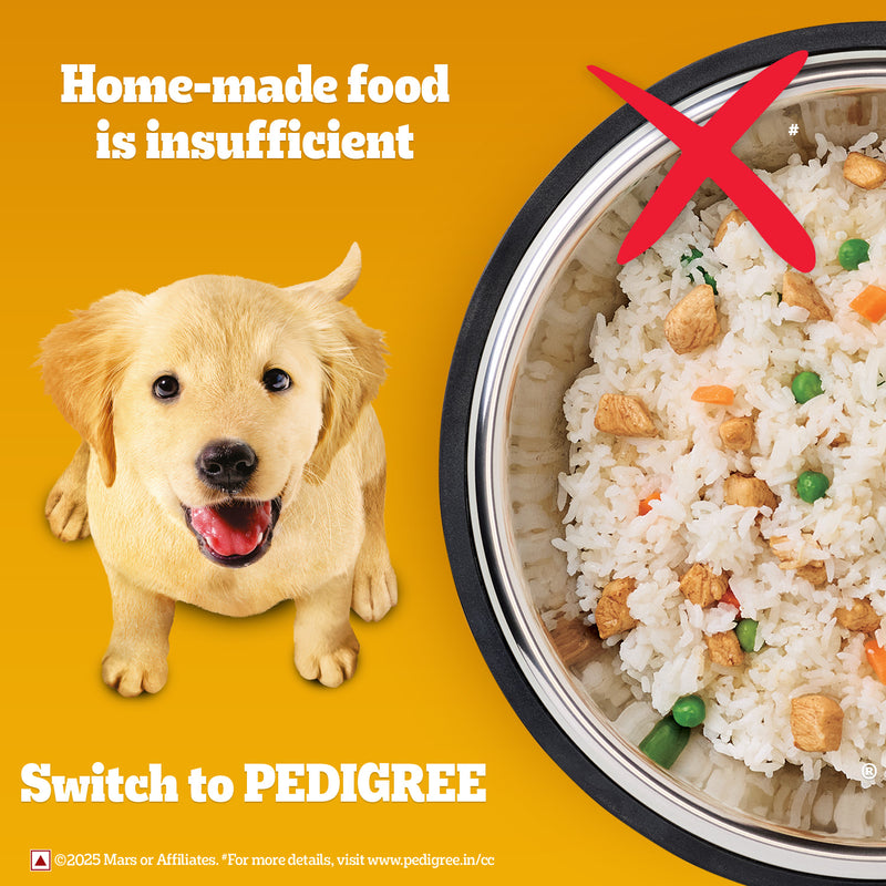 Pedigree Chicken & Milk Puppy Dry Dog Food (Contains 37 Essential Nutrients)