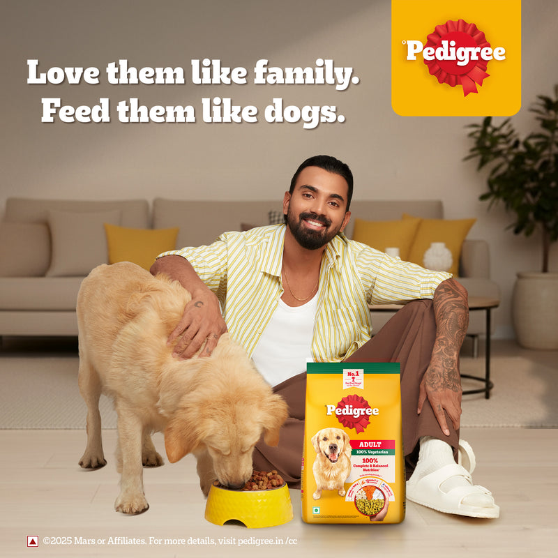 Pedigree 100% Vegetarian Dry Food For Adult Dog