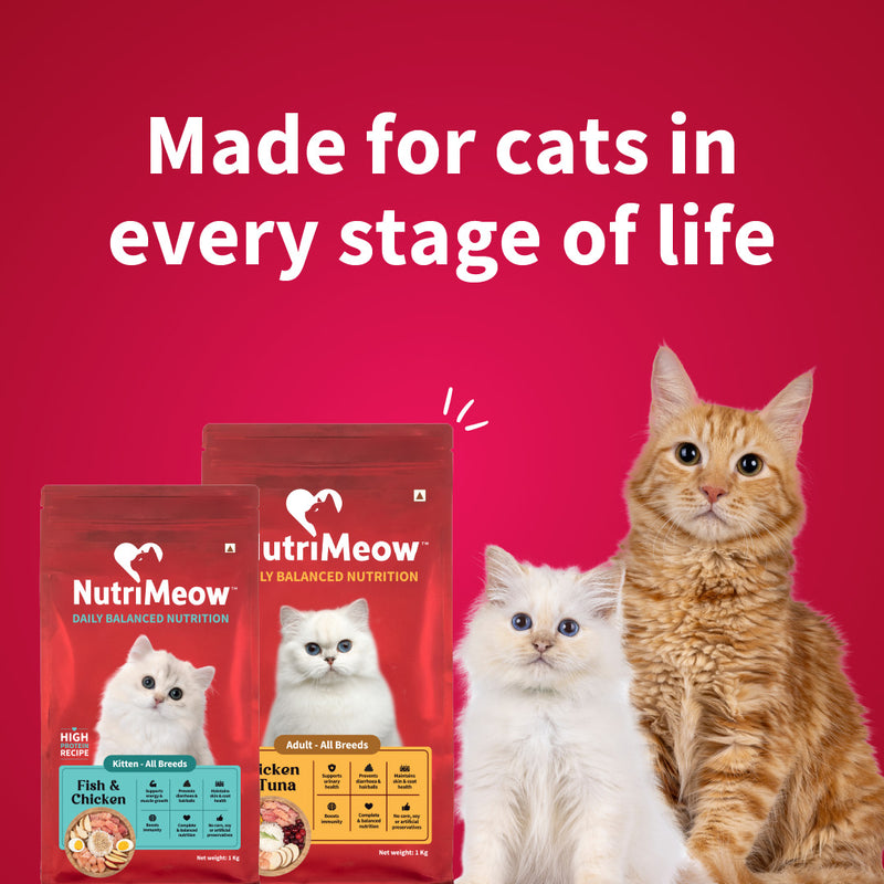 Nutrimeow Chicken and Tuna Dry Food For Adult Cat - Heads Up For Tails