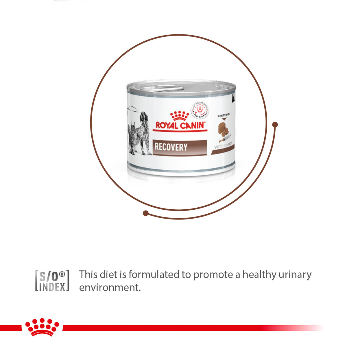 Royal Canin Veterinary Diet Recovery Canines & Felines Wet Food For Dog & Cat - 195 g - Heads Up For Tails