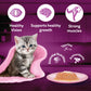 Whiskas Chicken With Salmon In Jelly Wet Food For Junior (2-12 Months) Kitten - 80 gm Pack
