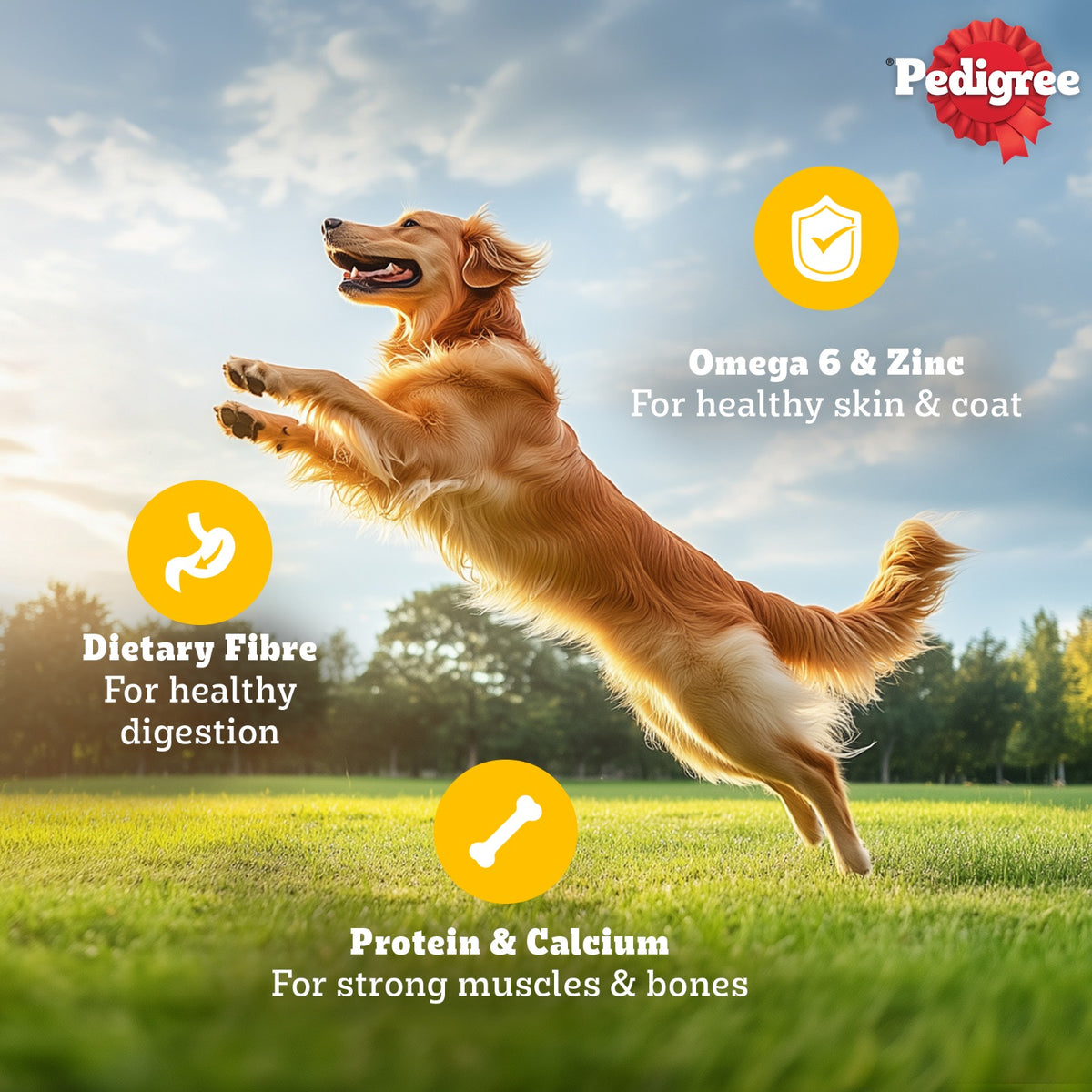Pedigree Chicken & Liver Chunks in Gravy Adult Wet Dog Food - 70 g packs - Heads Up For Tails