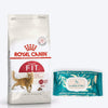 Royal Canin Fit 32 Adult Dry Cat Food