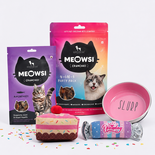 The Birthday Star Combo For Cats